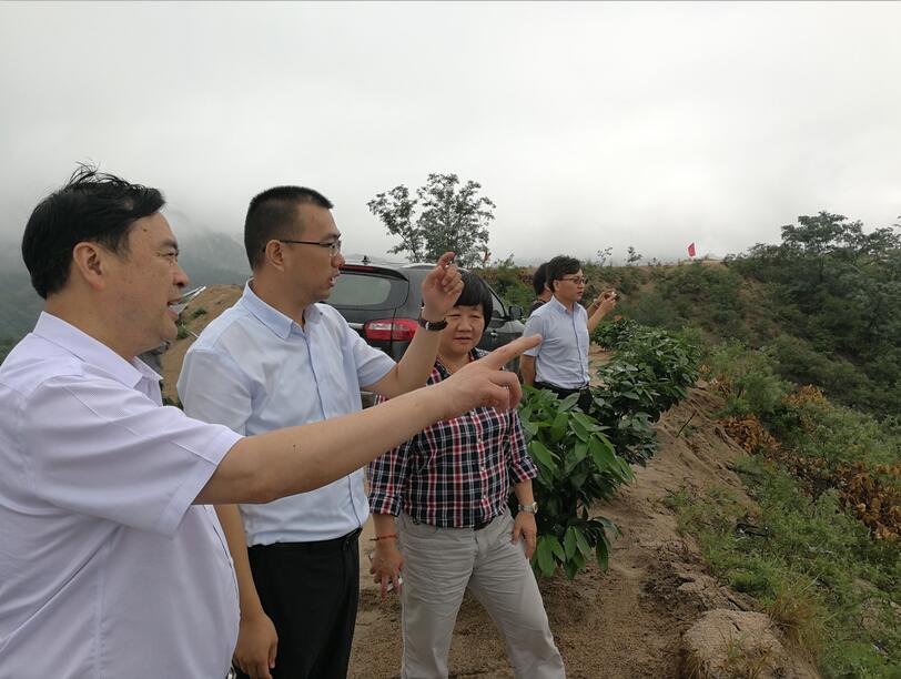 1500430681127842.jpg 55.jpg