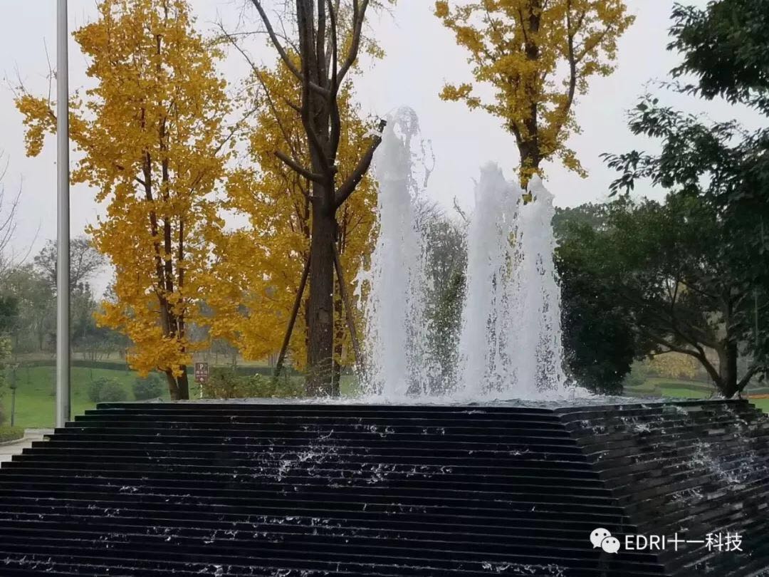 1543821236544102.jpg 8.jpg